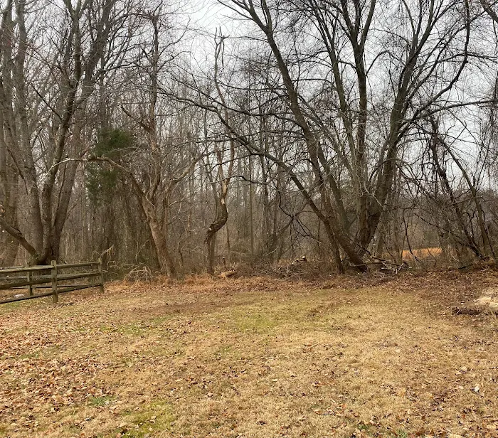 Shed After Professional Junk Removal Service in Howard County MD