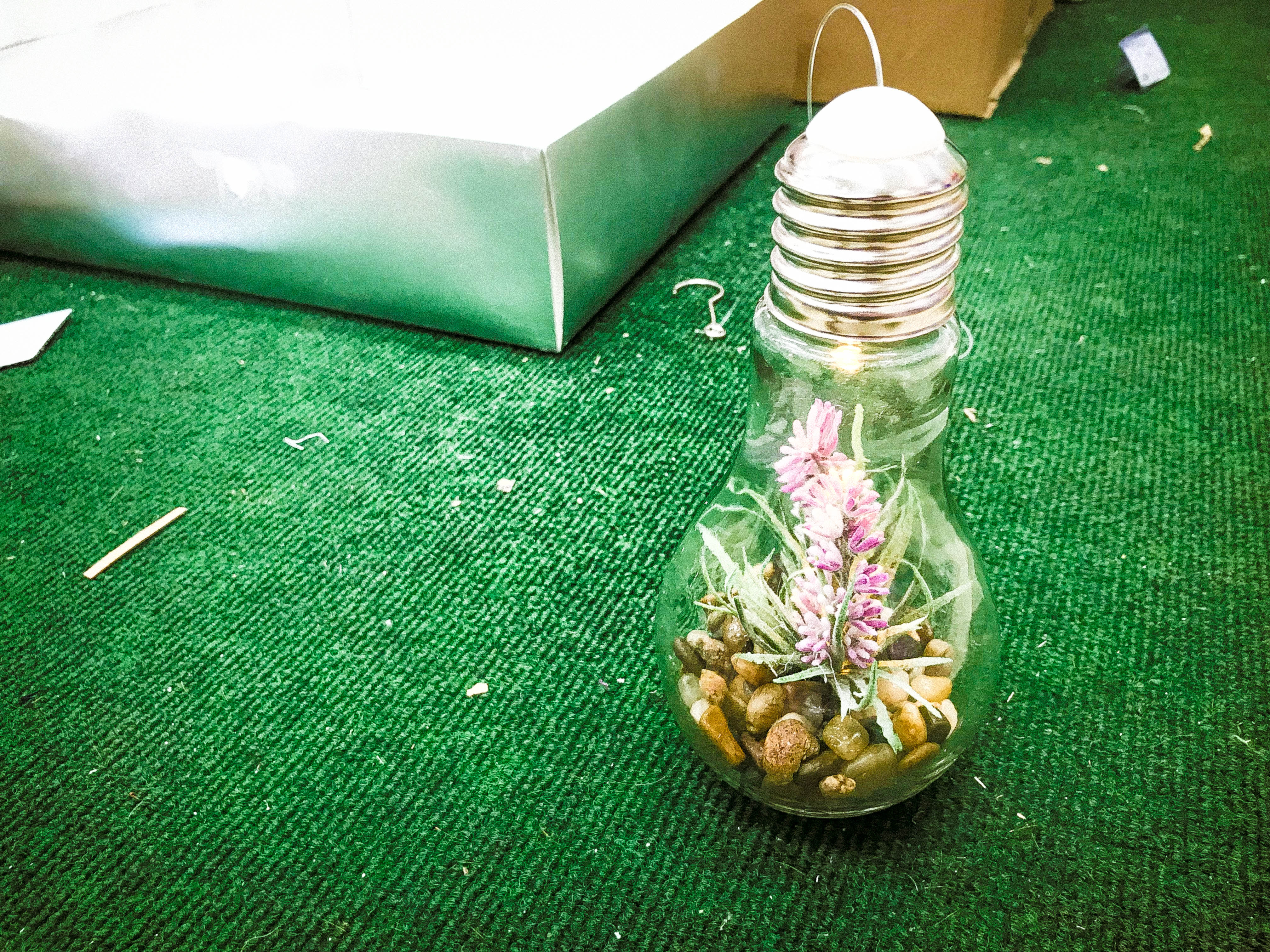 Upcycled light bulb terrarium with small plants - creative repurposing example