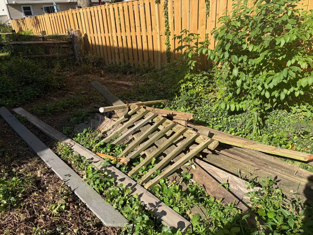 Dismantled wooden sections and long boards lying beside a standing backyard fence.