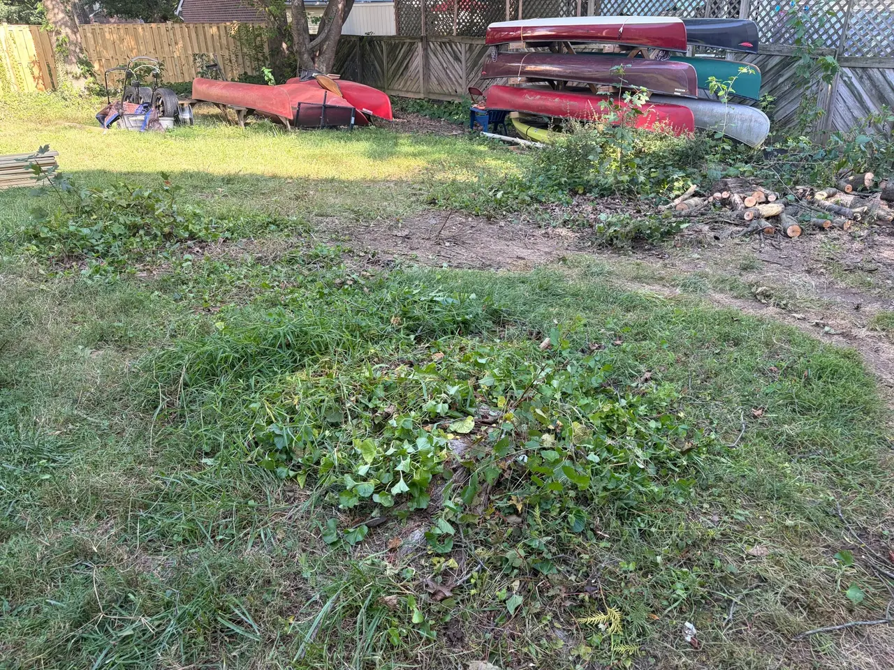 The former debris-pile area after removal, with canoes, logs and vegetation still visible.